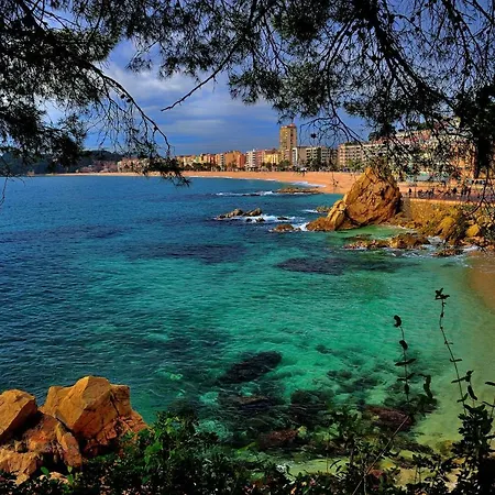 Alva Park Holidays Apartamento *